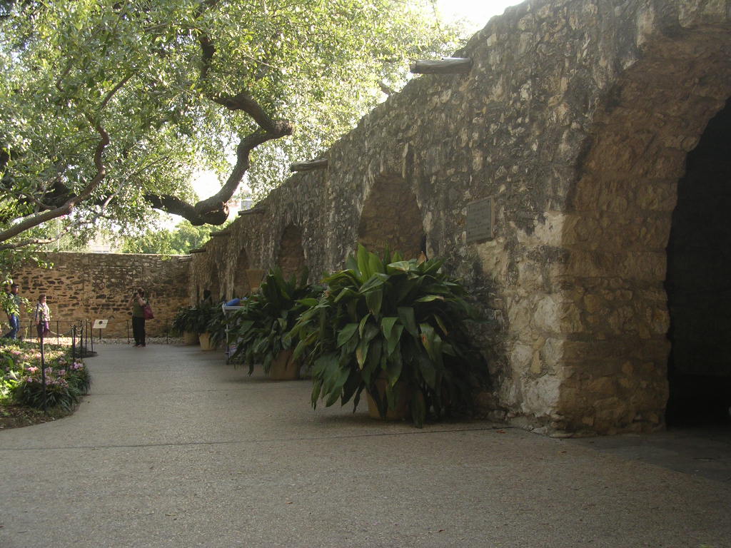 Picture138.jpg