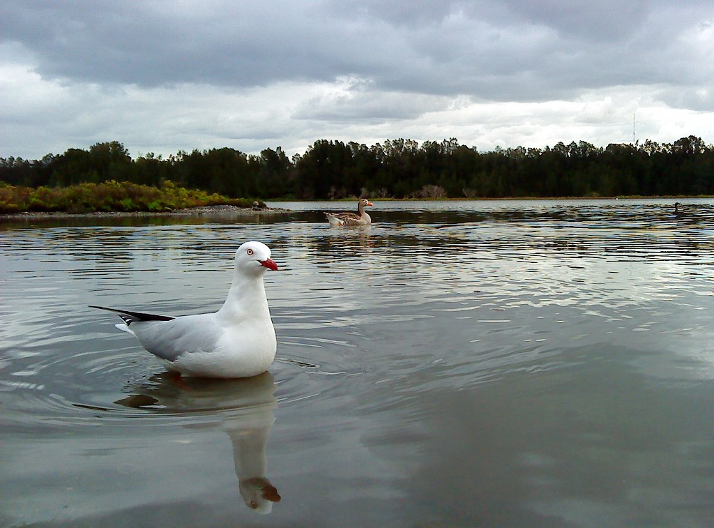 DSC00105.JPG