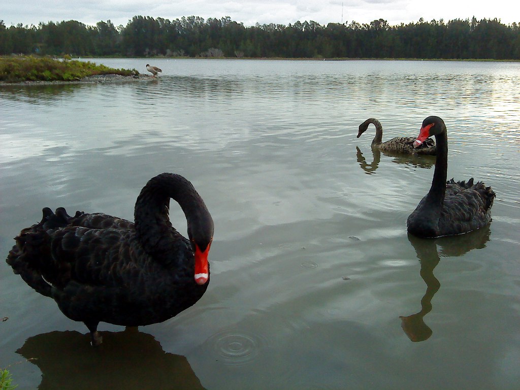 DSC00115.JPG