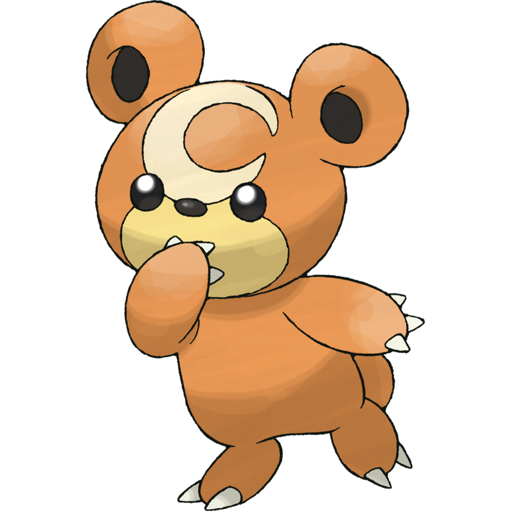 216Teddiursa