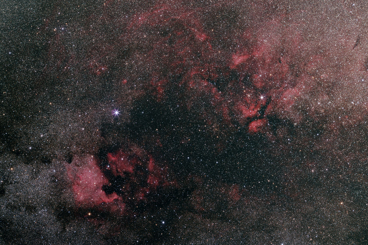 Cygnus Area Wide Field Color